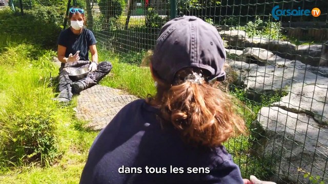 Sorties : le zoo de Fort-Mardyck est ouvert ! - 17 Juillet 2020