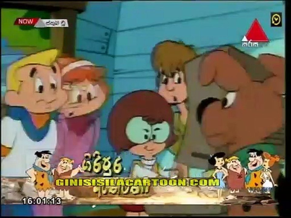 SCOOBY 81
