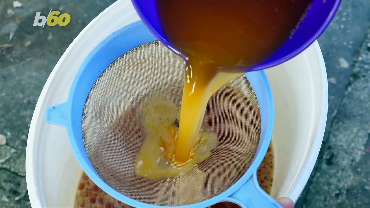 At-Home Remedies for Mosquito Bites