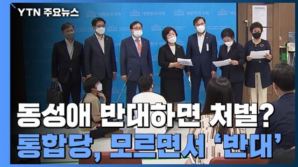 동성애 반대하면 처벌?...내용도 모르고 반대한 통합당 의원들 / YTN