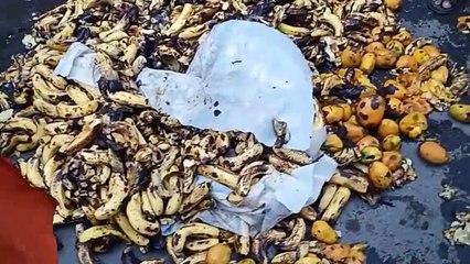 ठेला संचालकों ने गुस्से में सड़क पर फेंके सड़े फल, पुलिस ने संभाला मोर्चा