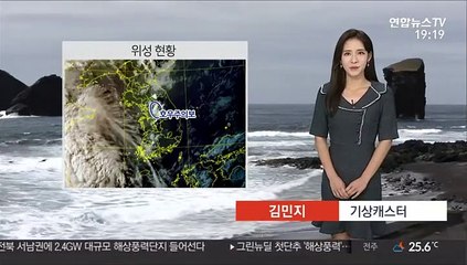 [날씨] 밤까지 곳곳 요란한 소나기…주말 차츰 장맛비