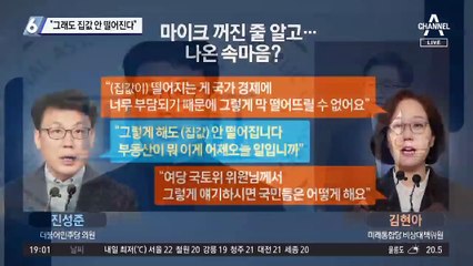 진성준 “그래도 집값 안 떨어진다”