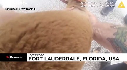 Kangaroo caught roaming streets of Florida by police