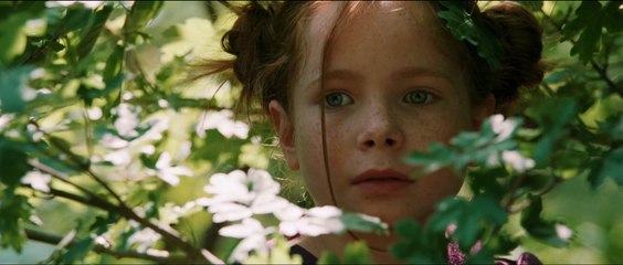 Le Renard Et L'Enfant de Luc Jacquet (bande-annonce)