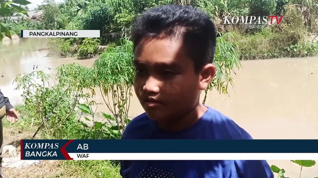 Warga Pangkalpinang Dihebohkan Dengan Kemunculan Buaya Muara