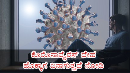 ಕೊರೊನಾವೈರಸ್‌ ದೇಹ ಹೊಕ್ಕಾಗ ಏನಾಗುತ್ತದೆ ನೋಡಿ | Boldsky Kannada