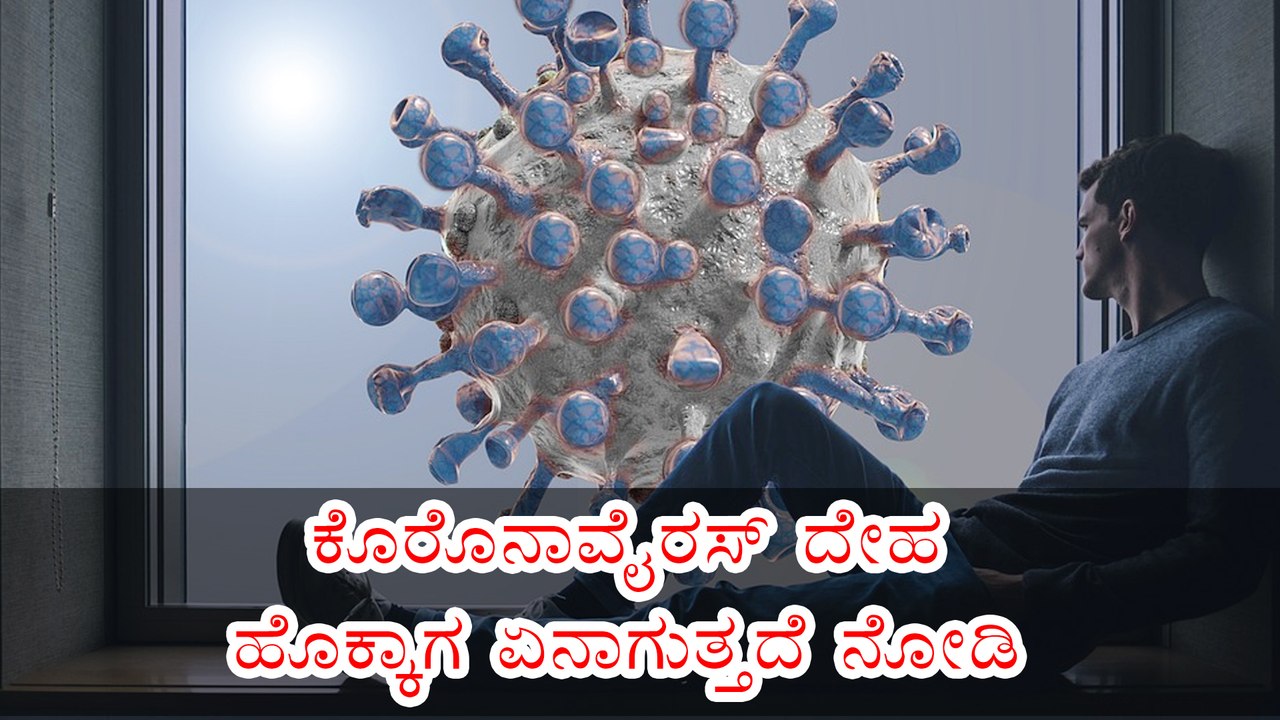 ಕೊರೊನಾವೈರಸ್‌ ದೇಹ ಹೊಕ್ಕಾಗ ಏನಾಗುತ್ತದೆ ನೋಡಿ | Boldsky Kannada