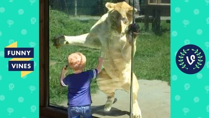 TRY NOT TO LAUGH -  Cute Kids VS. Animals Fails Compilation _ Funny Vines Videos July 2018