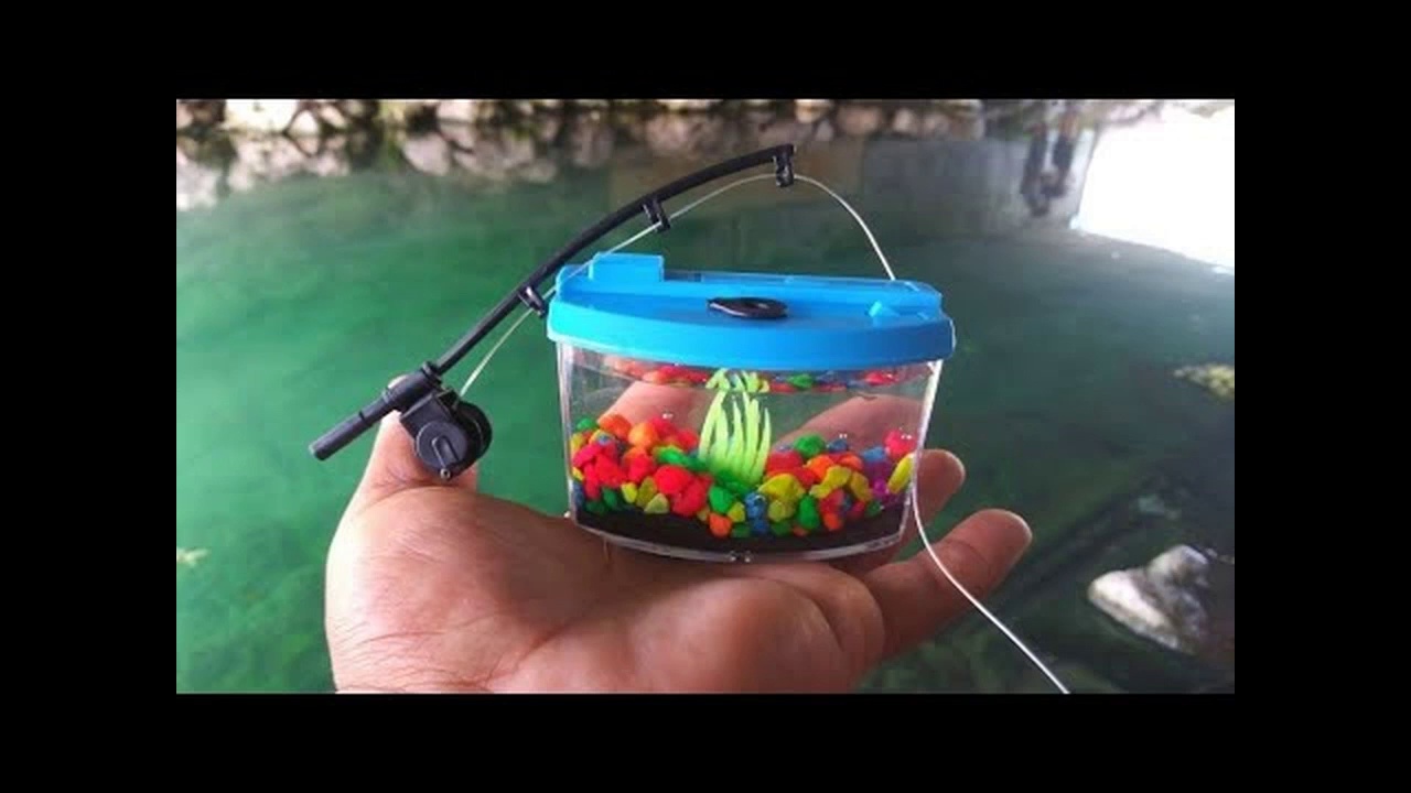 BEST MICRO Fishing Challenge with WORLD’S SMALLEST Rod and AQUARIUM!!! (Help Identify)