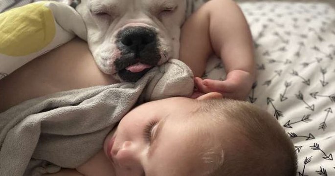 Regardez ce petite garçon et ce chien, ils sont inséparables !