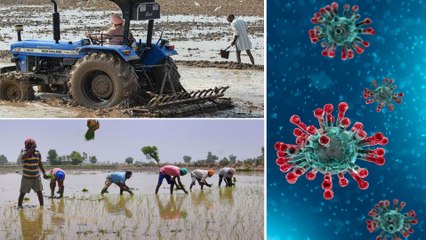 Kharif Cultivation కి కరోనా దెబ్బ, రైతన్నలకు అదనపు భారం- కూలీల రేట్లు పెరగడంతో Farmers ఆవేదన...!!