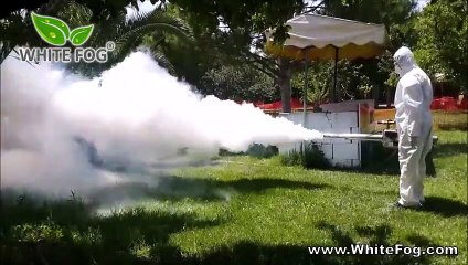 Smoke machine for cars, insect fogger and mosquito fogging insecticide