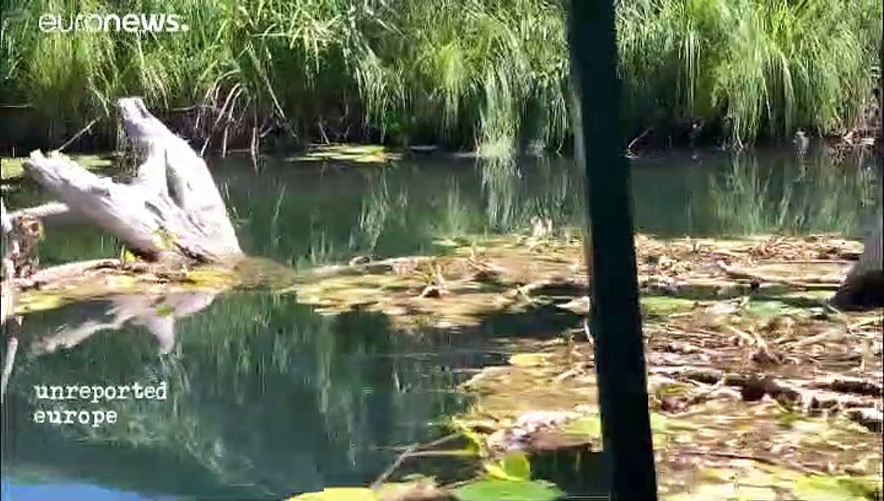 Bosnie-Herzégovine : l'hydroélectricité alimente la contestation