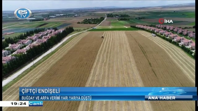 Buğday ve Arpa verimi yarı yarıya düştü