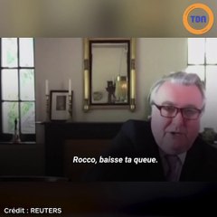 Ce chat interrompt un député lors d’une visioconférence avec des ministres !