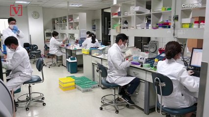 South Korea Company Moves to Human Trials to Test COVID-19 Antibody Treatment