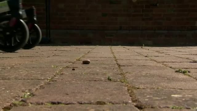 La reina de Inglaterra nombra caballero a Tom Moore, el veterado de guerra que recaudó 30 millones de euros para los sanitarios