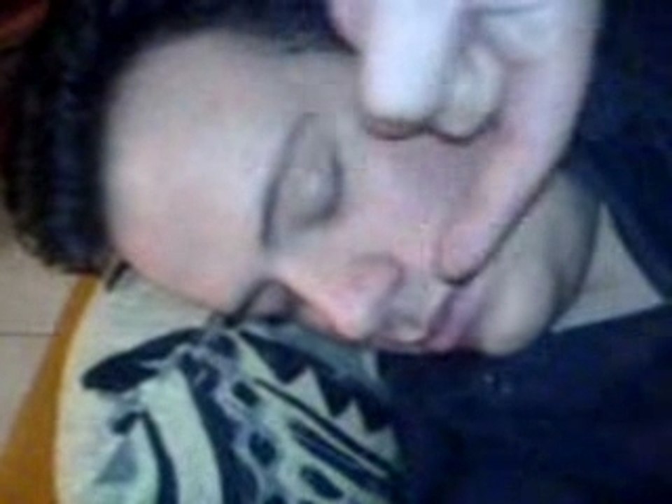 Le reveil de dan 1er