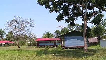 Advertência de investidores pressiona Bolsonaro a preservar a Amazônia