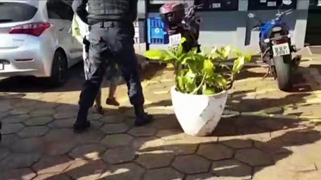 Mulher é detida pela GM por desacato, resistência e ameaça