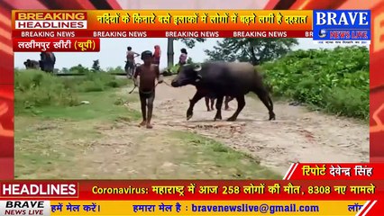 #Lakhimpur_Khiri : नेपाल से आने वाली नदियों में तेजी से बढ़ने लगा जल स्तर, लोगों में बढ़ने लगी दहशत, गांव बना टापू | BRAVE NEWS LIVE