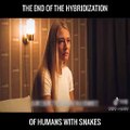 THE END OF THE HYBRIDIZATION OF HUMAN WITH SNAKES☄️