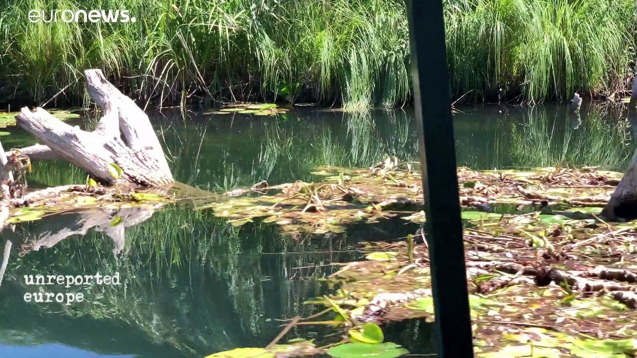 Hydro power to the people: the fight against Bosnia and Herzegovina's hydroelectric dams