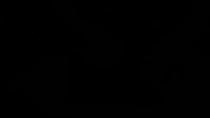 Agimi i Liris Dokumentar