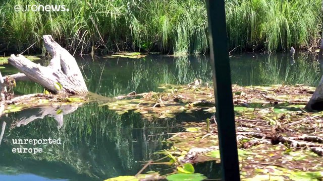 Verde contro verde: in Bosnia le centrali idroelettriche rischiano di distruggere aree protette