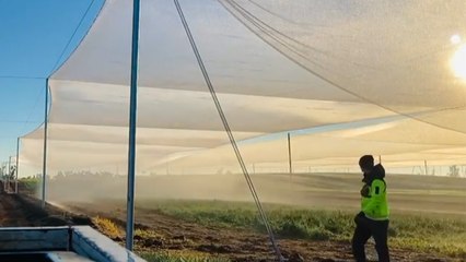 Une technique d'arrosage écolo, gratuite, et surtout très satisfaisante
