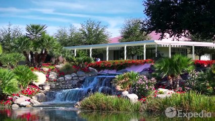 Palm Springs 『 ((【[Mp4] Eng-Sub HD】)) 』#2020! [[ ︻╦̵̵͇̿̿̿̿  GoogLe#dOCS®] ╤─── ]]