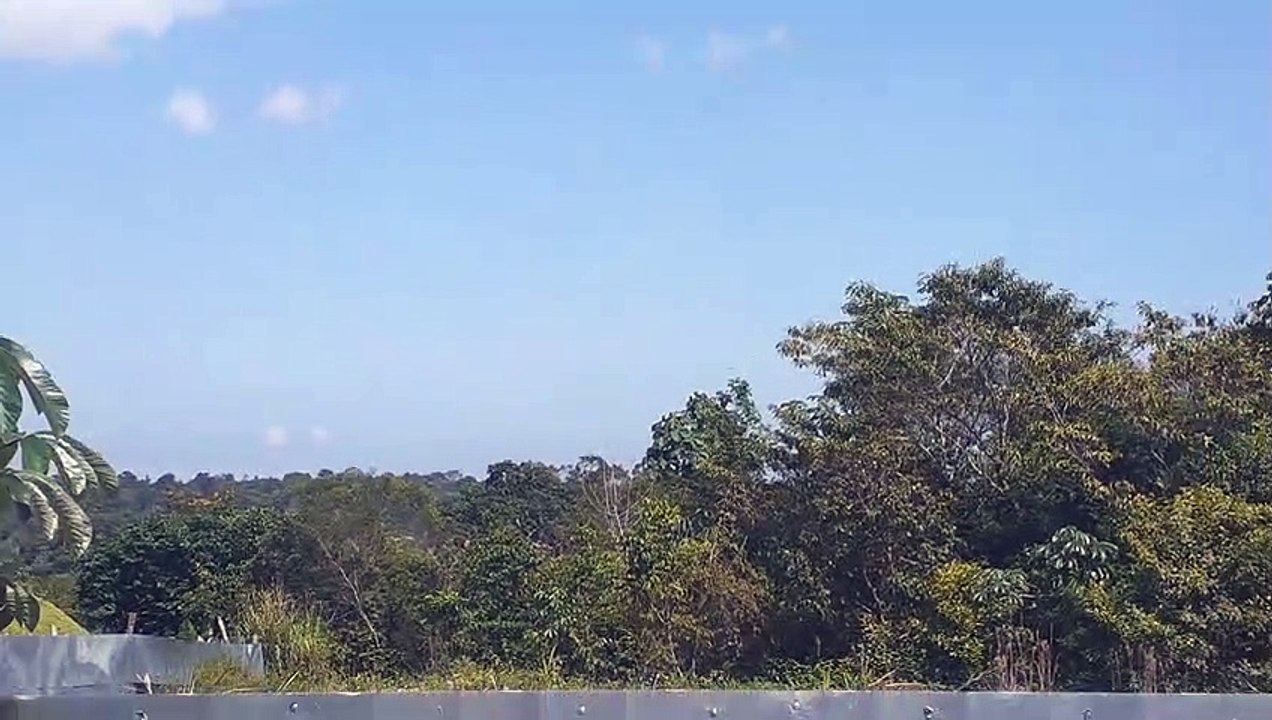 [SBEG Spotting]Airbus A330 PR-AIU na final antes de pousar em Manaus vindo de Campinas durante a fraudemia