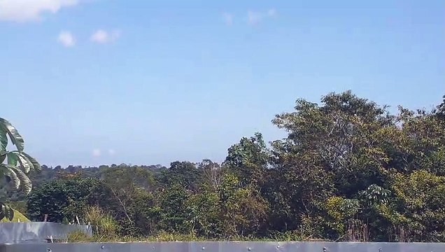 [SBEG Spotting]Airbus A330 PR-AIU na final antes de pousar em Manaus vindo de Campinas durante a fraudemia