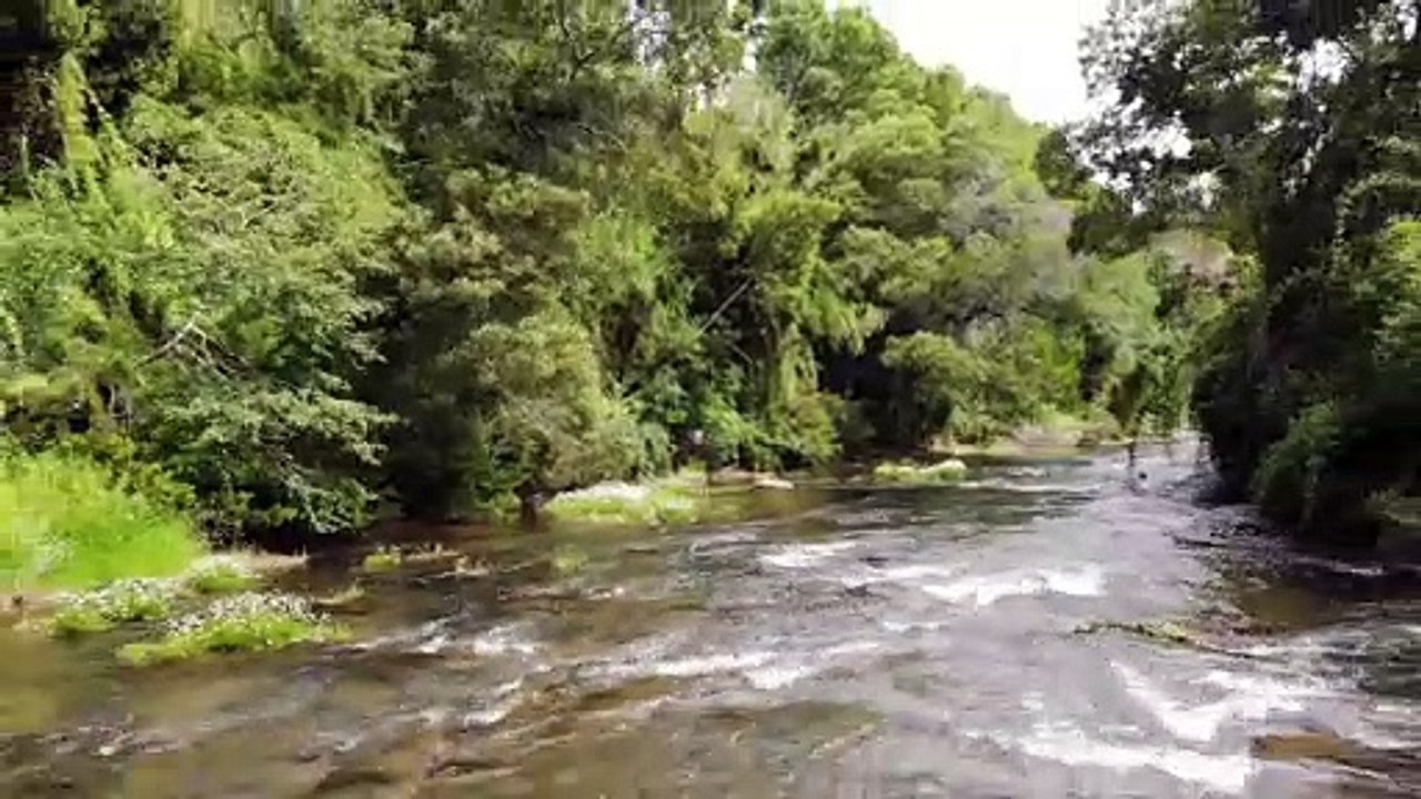 Nice river seen