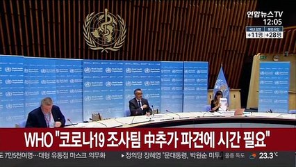WHO "코로나19 조사팀 中추가 파견에 시간 필요"