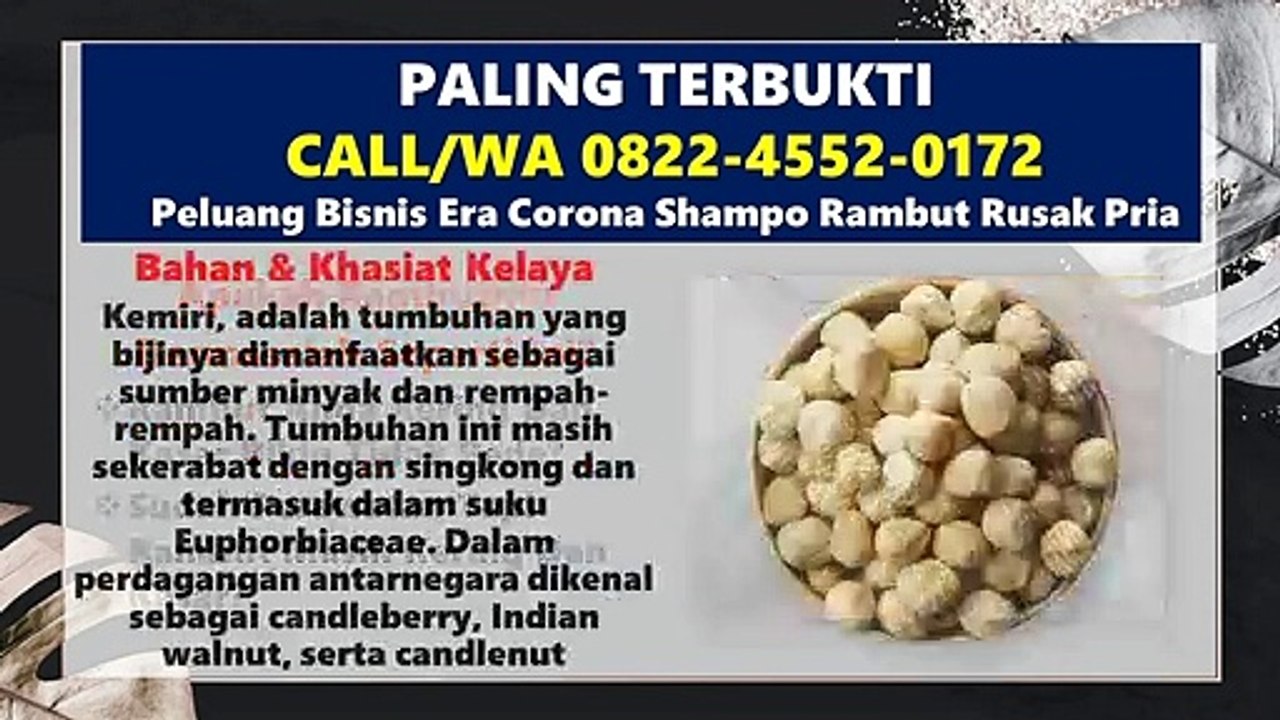 SUDAH TERDAFTAR BPOM, CALL/WA 0822-4552-0172, Peluang Bisnis Era Corona Shampo Rambut Bercabang