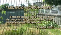 LES W-D.D. MICHOU64 NEWS - 7 JUILLET 2020 - PAU - DÉBUT DES PLANTATIONS AU JARDIN HUMAIN