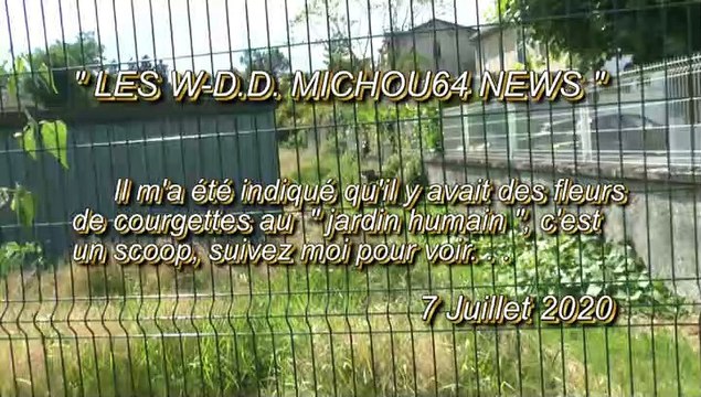 LES W-D.D. MICHOU64 NEWS - 7 JUILLET 2020 - PAU - DÉBUT DES PLANTATIONS AU JARDIN HUMAIN