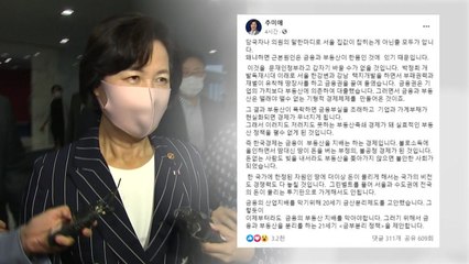 추미애 "그린벨트 풀면 투기판...금융·부동산 분리해야" / YTN