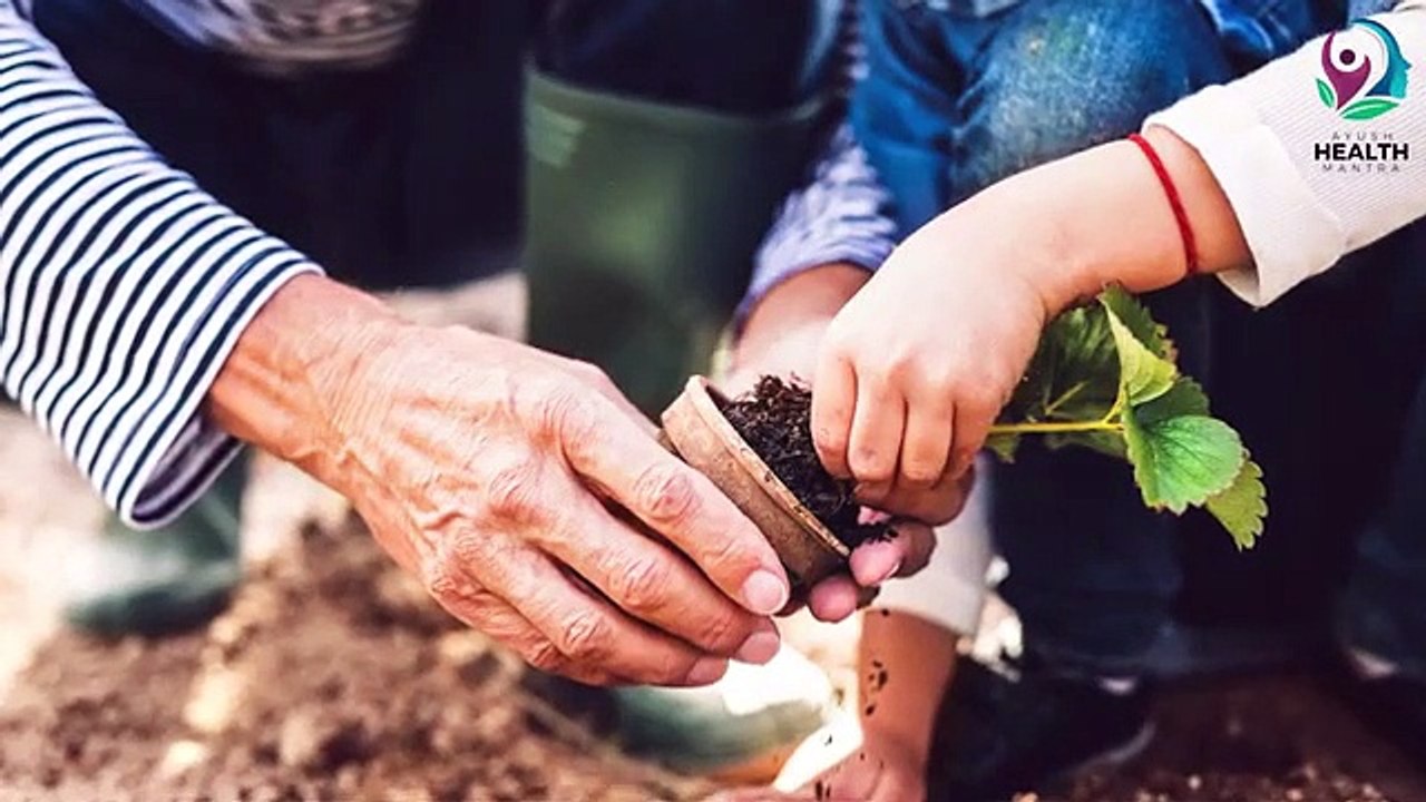 Lockdown में Gym नहीं जा सकते, तो घर पर ही करें Calorie Burn  Home Exercise  How To GYM at Home