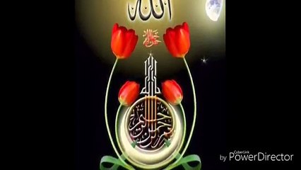 hara gunbad jo dekhoge zamana bhol jaoge naat