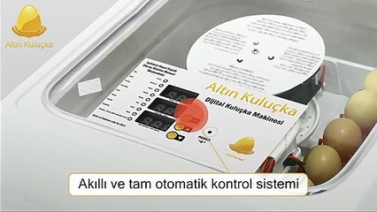 EB-1 Akıllı ve tam otomatik kuluçka makinesi