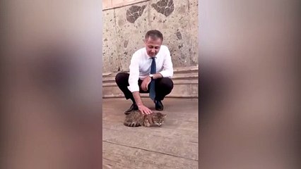 Vali Yerlikaya'dan Ayasofya'nın kedisi 'Gli' paylaşımı