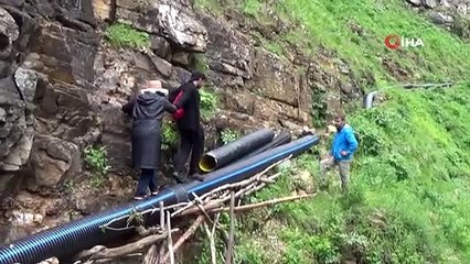 Rize'de heyelanın izleri arasında çay hasadı başladı