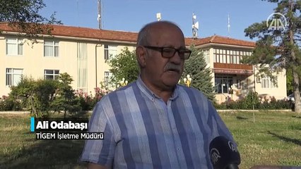 Konya'nın devasa dairesel tarlaları gökyüzünden görüntülendi