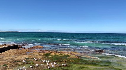 Cronulla Beach, Sydney, Australia