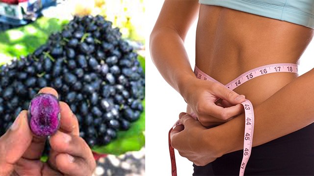 Weight Loss Jamuns: मानसून में घट जाएगा तेजी से वजन, अगर रोज खाएंगे काली जामुन । Boldsky
