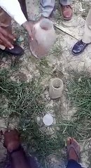 खुदाई के दौरान बड़ी संख्या में सांप निकलने से मचा हड़कंप