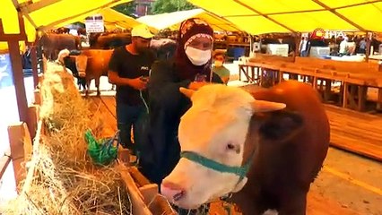 PAZARINN TEK KADIN KURBANLIK SATICISI